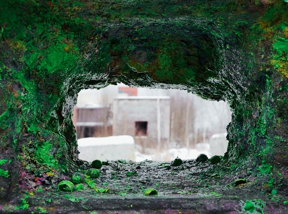 Photograph by Александра Щирова