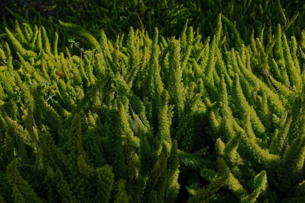 Photograph by Владислав Айзенберг