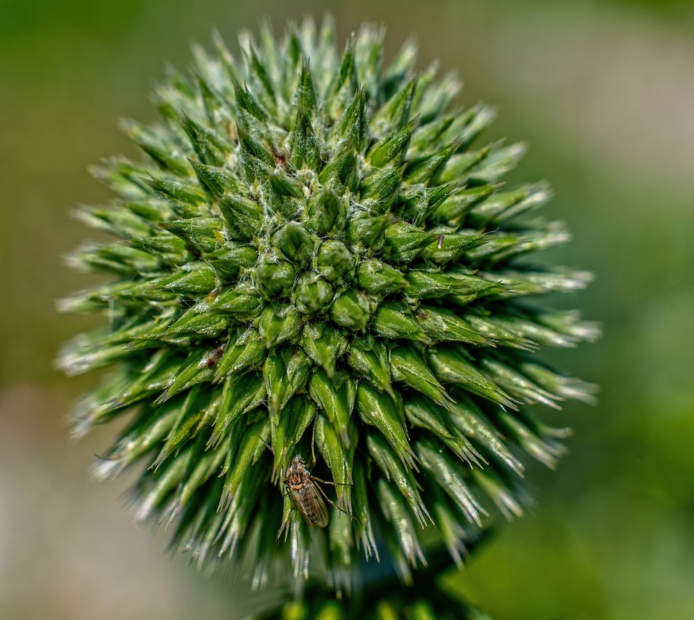 Photograph by Владислав Айзенберг