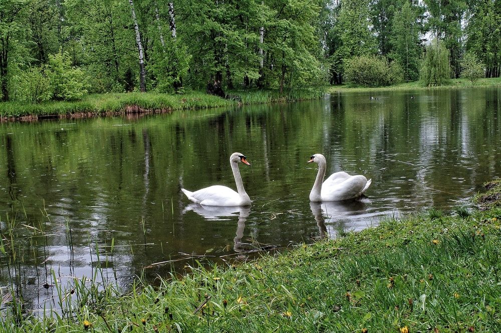 Photograph by Наталья Сафронова