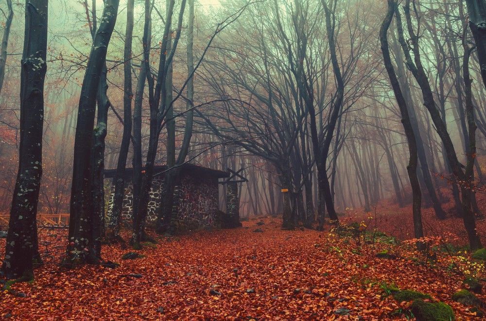 Photograph by Николов Андриян