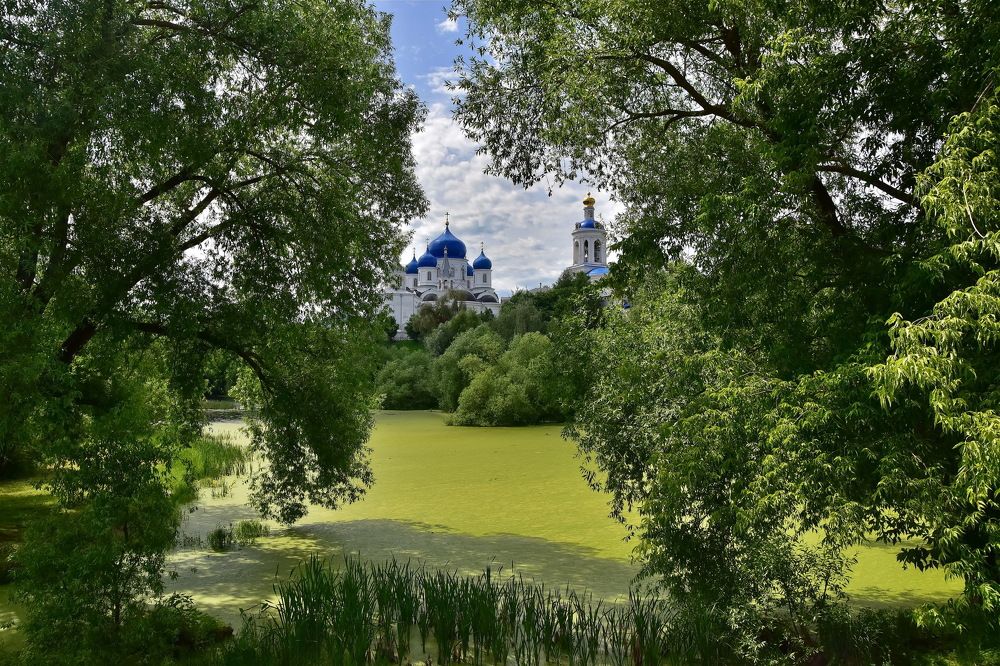 В обрамлении лета