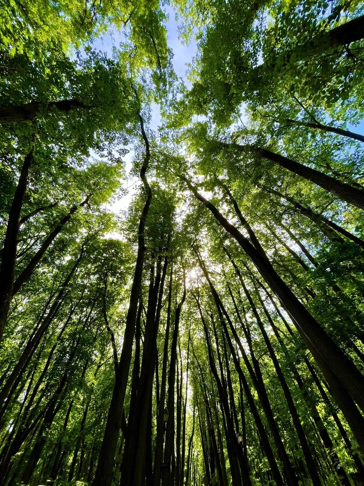 Photograph by Александр Мокров