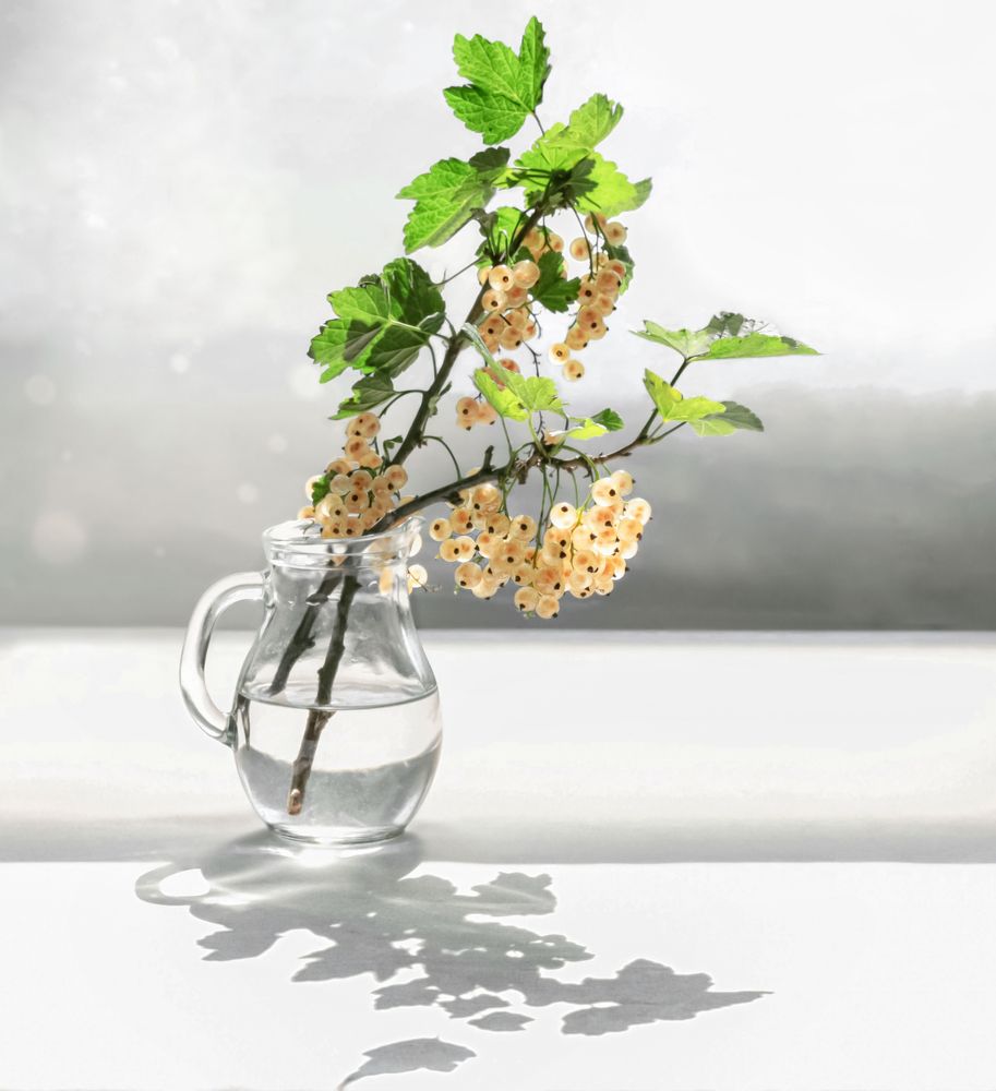 Photograph by Вера Лопатина