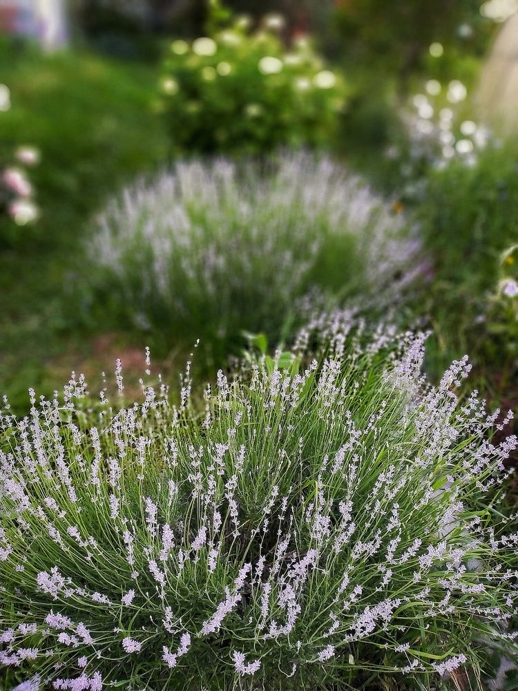 Photograph by Ольга Мартьянова