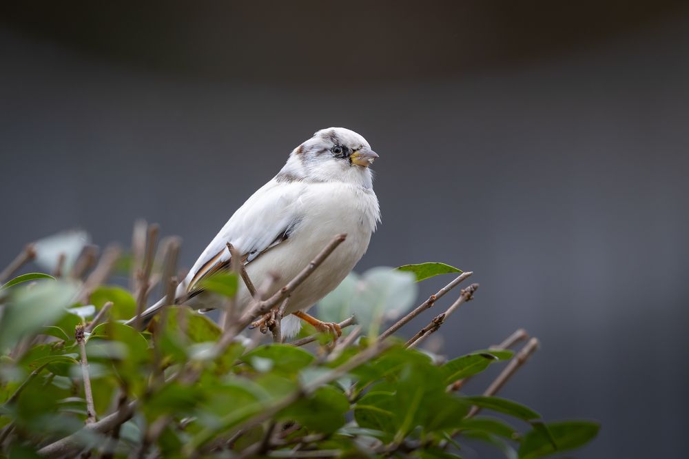 Photograph by Антон Науменко