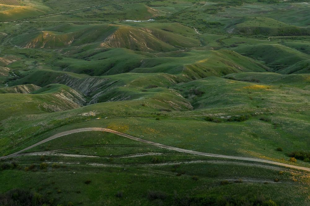 Photograph by Андрей Евтеев