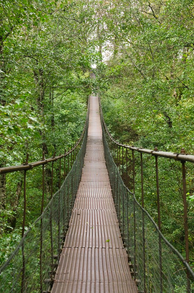 Photograph by Андрей Евтеев