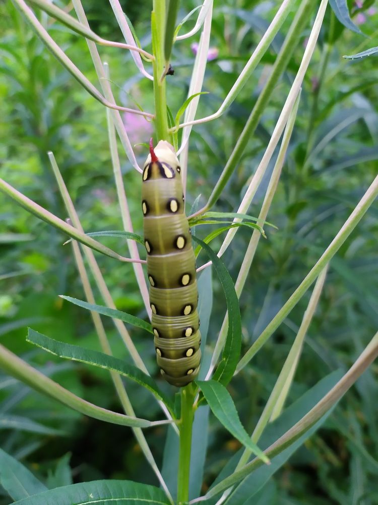 Photograph by Olga Kot