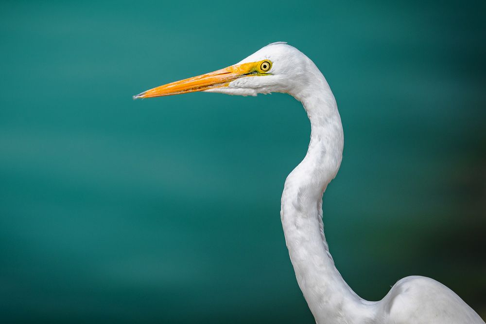 Photograph by Dhananjay Jadhav