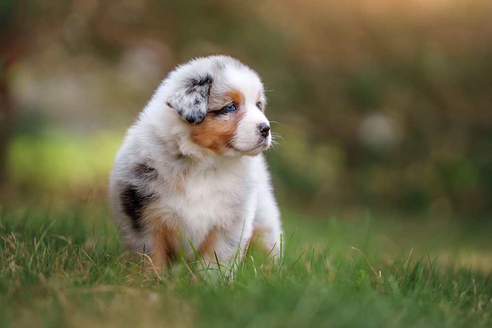 Фотография автора Оксана Серова