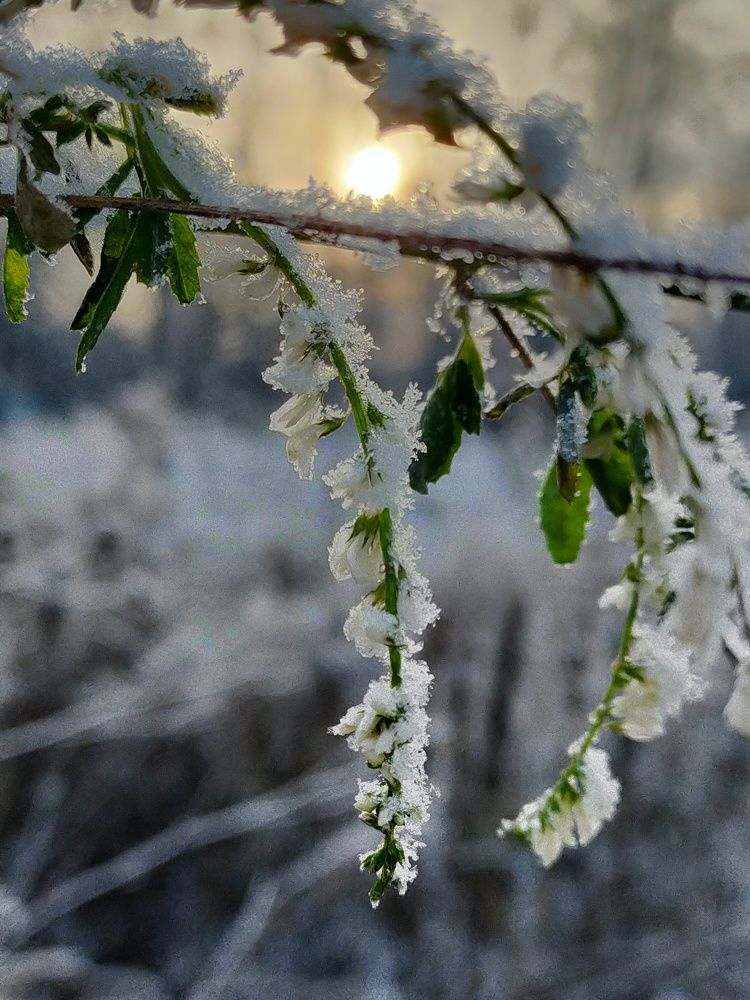 Photograph by Ольга Мартьянова