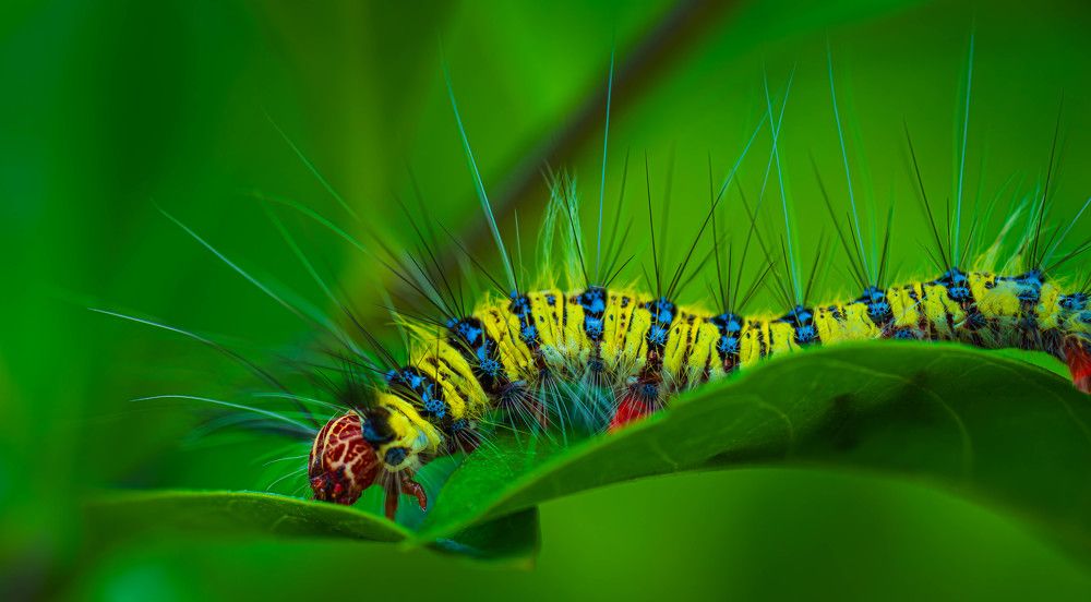 Photograph by Duc Nguyen