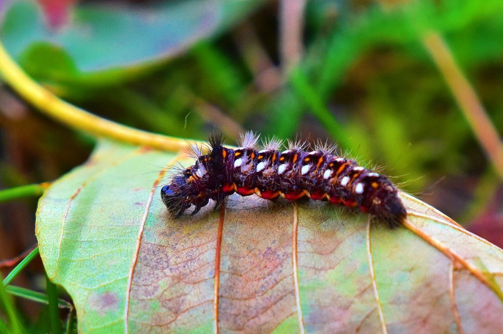 Photograph by Николай Абакумов