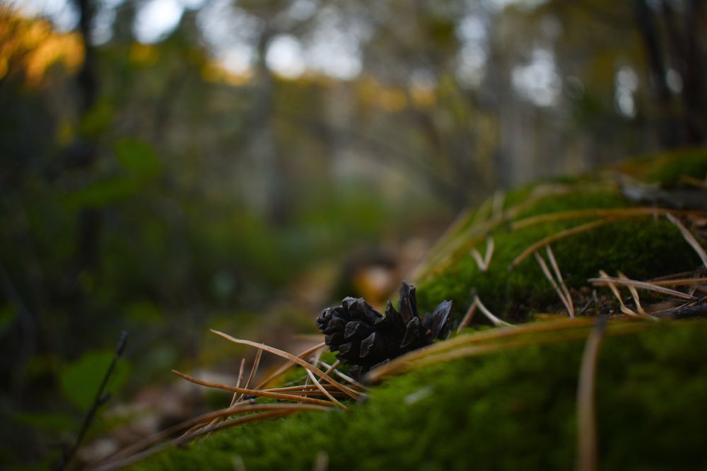 Photograph by Валентина