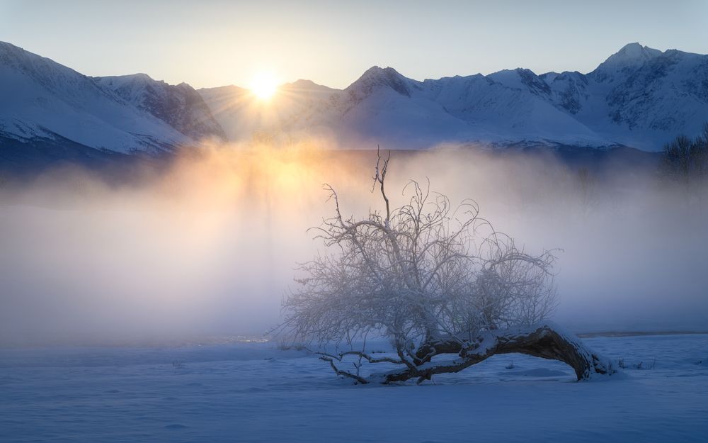 Сломанное, но не сломленное
