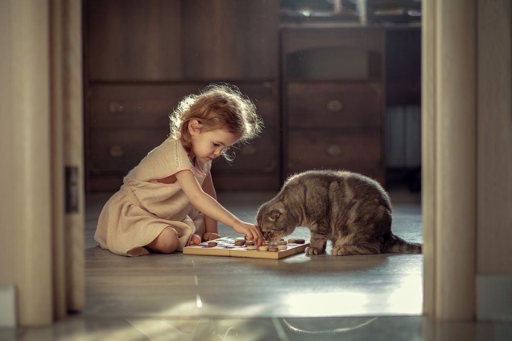 Photograph by Татьяна Стешенкова