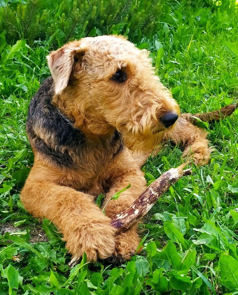 В летний полдень