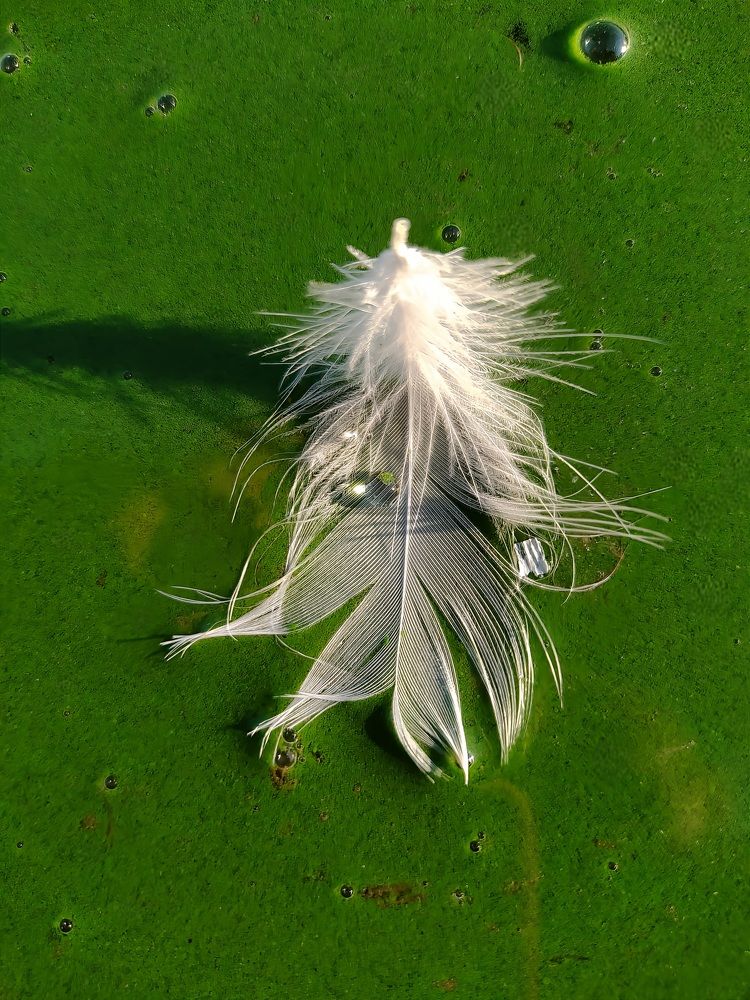 Photograph by Maryna Kukhtsikava