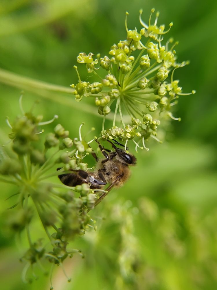 Photograph by Maryna Kukhtsikava