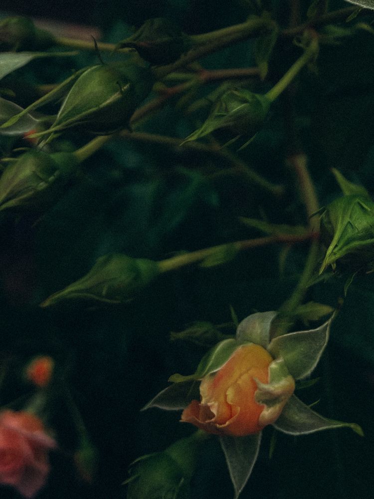 Photograph by Ляйсан Саляхиева