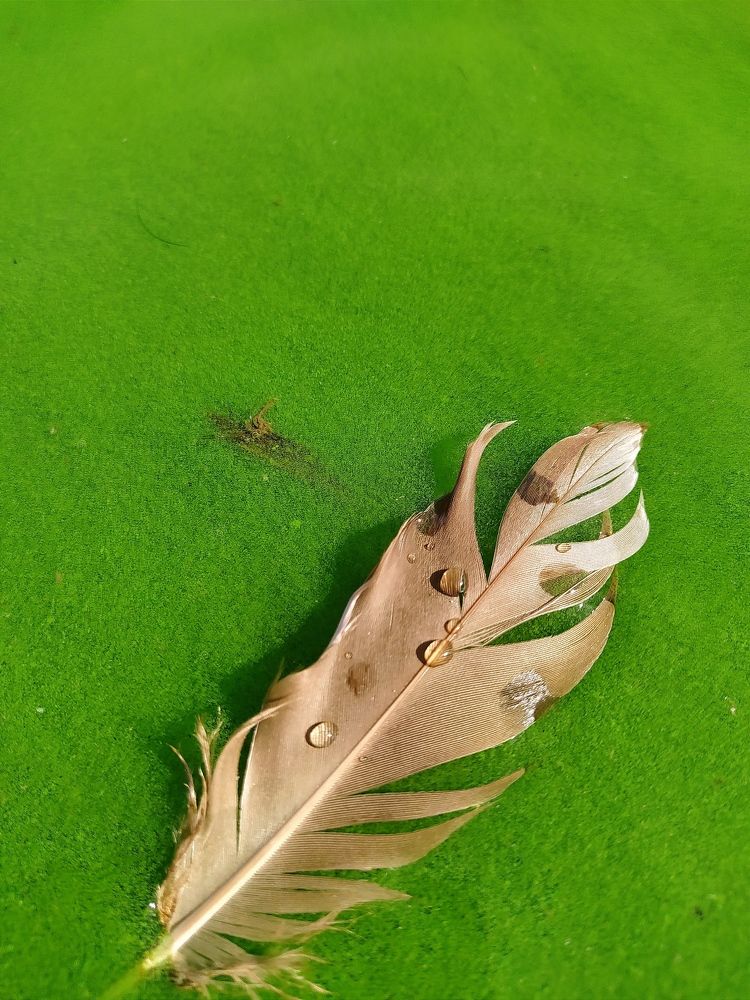 Photograph by Maryna Kukhtsikava