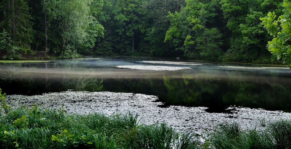 Photograph by Валерий Верещако
