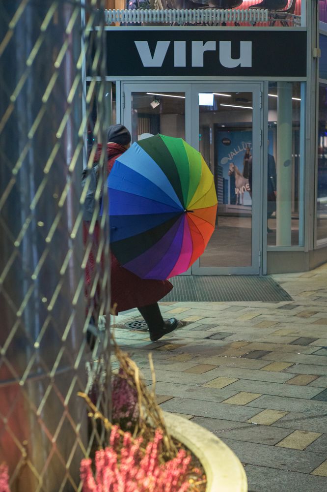 Photograph by Nikolay Surovtsev