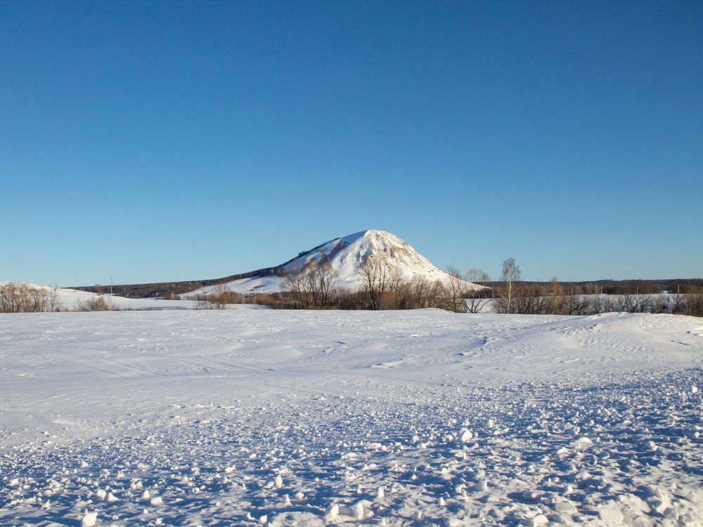 Фотография автора Дарья Рогозина