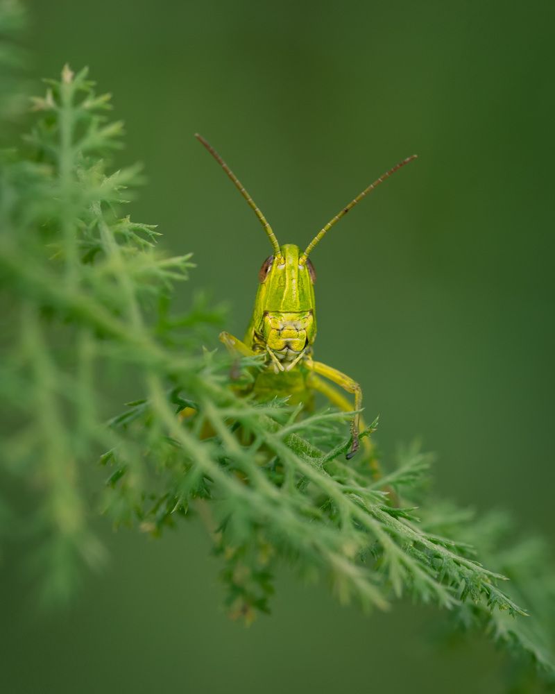 Photograph by Рагинская Ольга