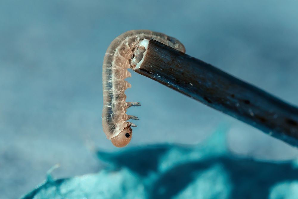 Photograph by Рагинская Ольга