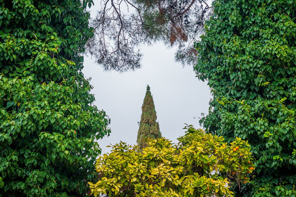 Photograph by seyed mostafa yousefi