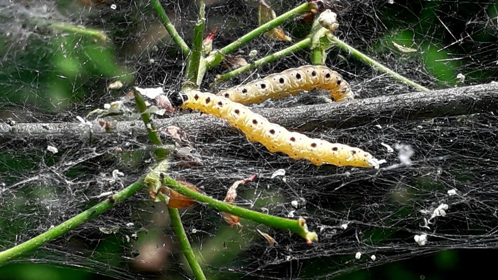 Photograph by Татьяна Солтан