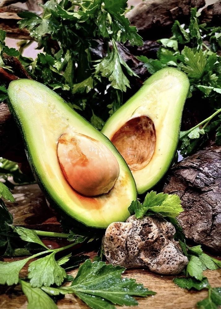 Photograph by Nadya Sterligova