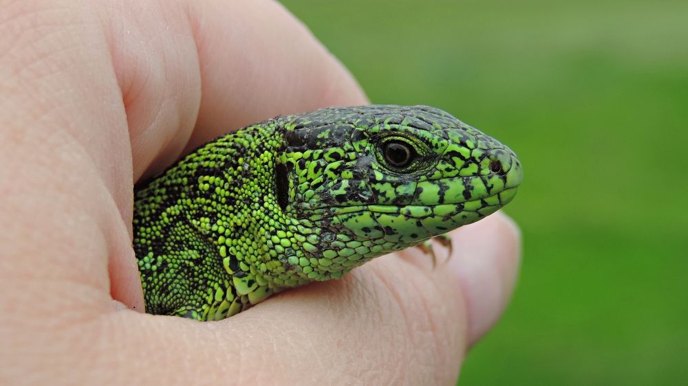 Photograph by Мария Широких