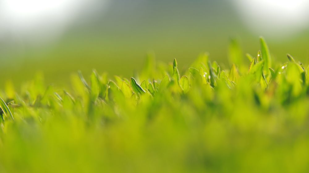 Photograph by Мария Широких