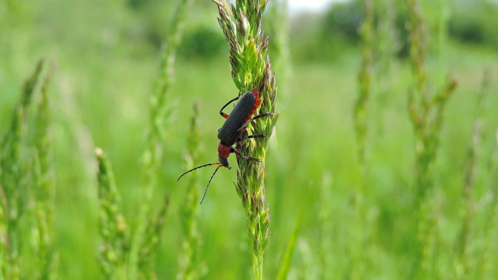 Photograph by Мария Широких