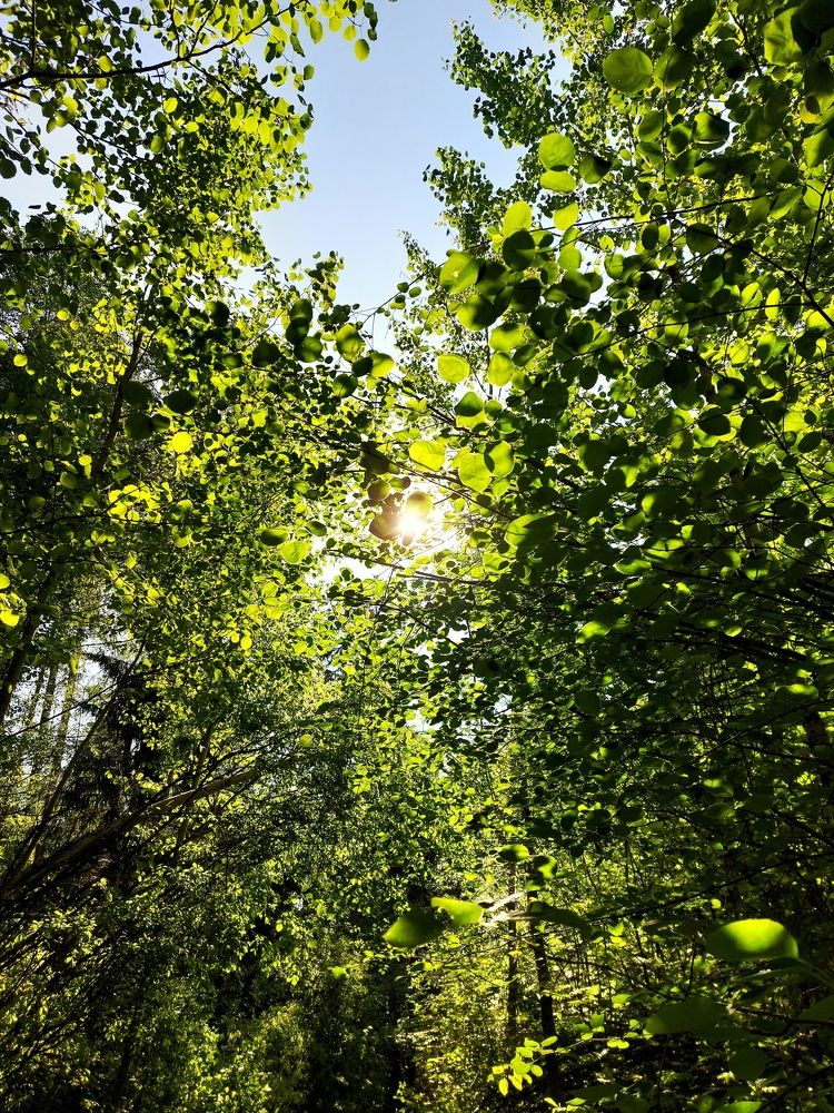 Photograph by Ксения Цветкова