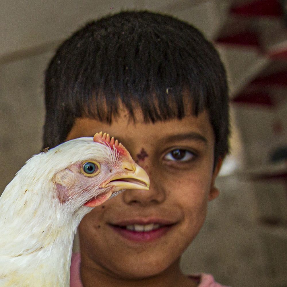 Photograph by seyed mostafa yousefi