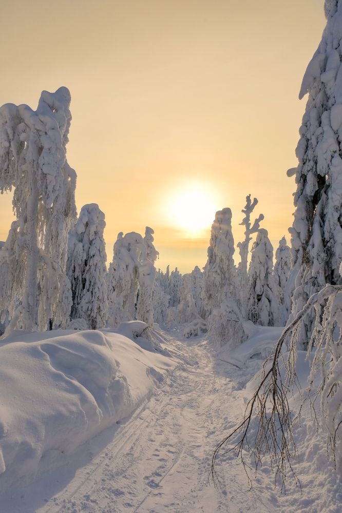 Photograph by Дулова Анастасия