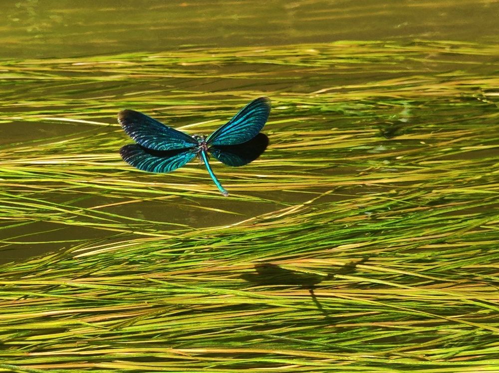 Photograph by Mila Vshivkova