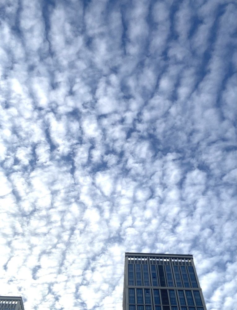 Photograph by Алиса Лукина