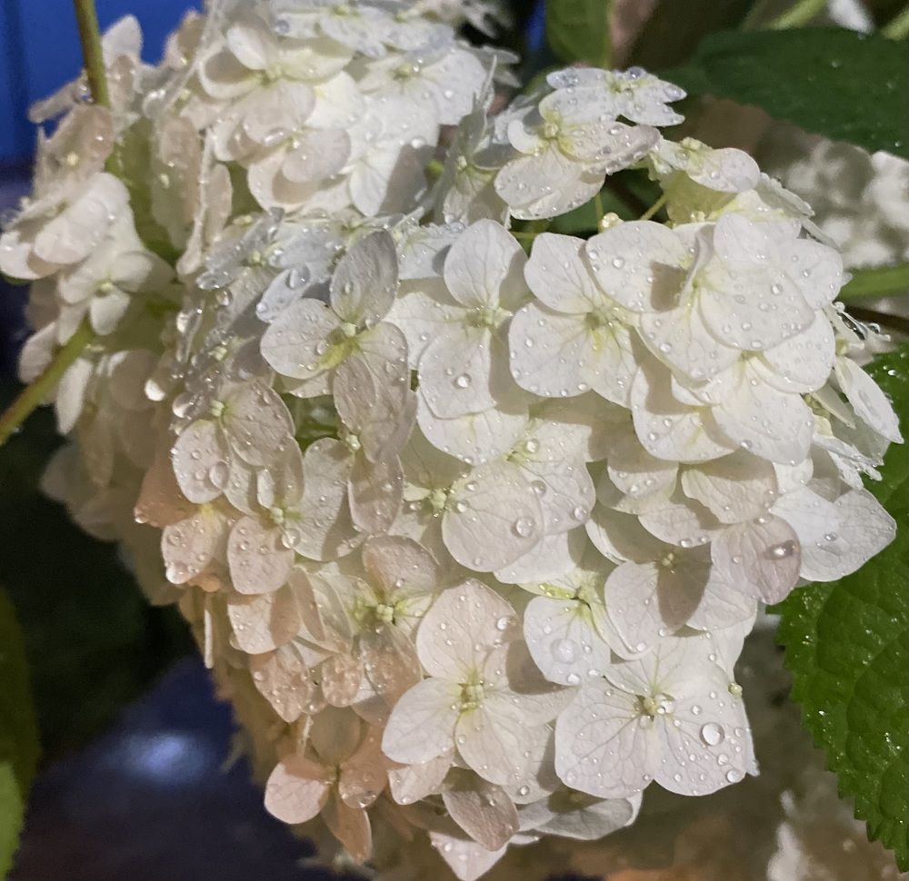 Photograph by Алиса Лукина