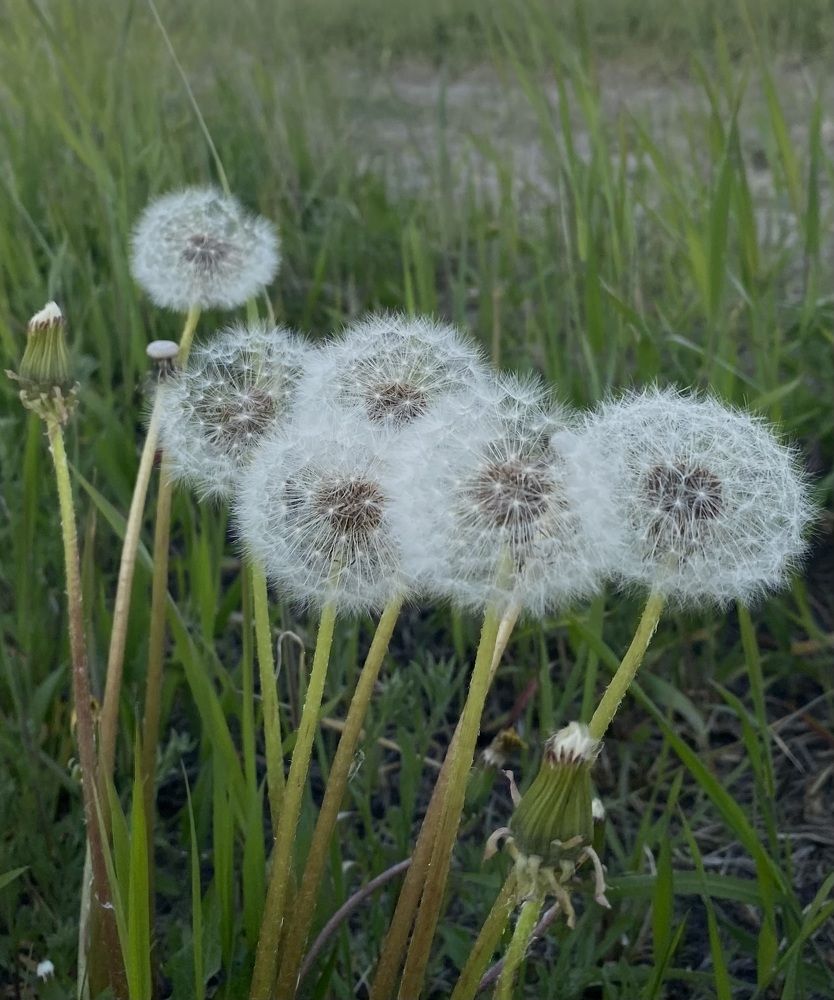 Photograph by Алиса Лукина