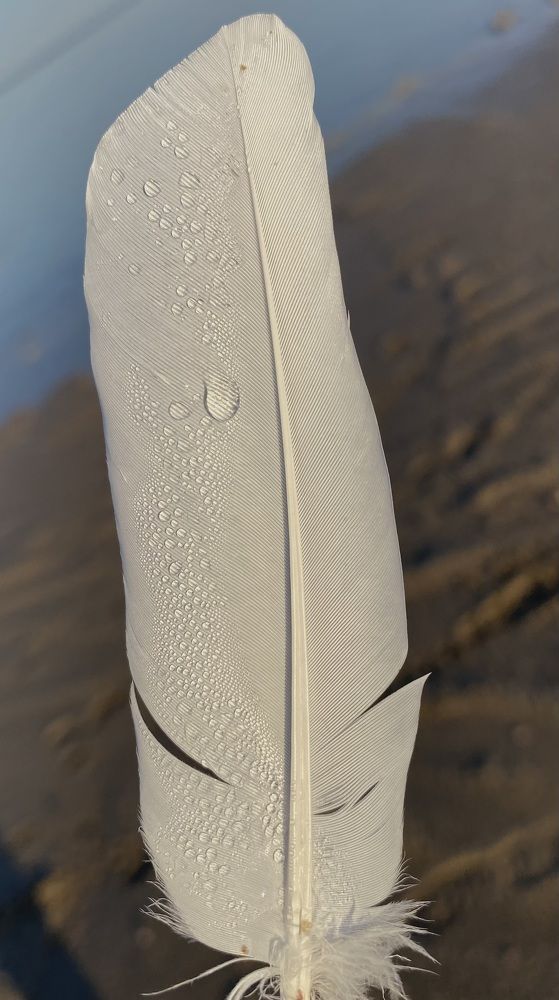 Photograph by Алиса Лукина