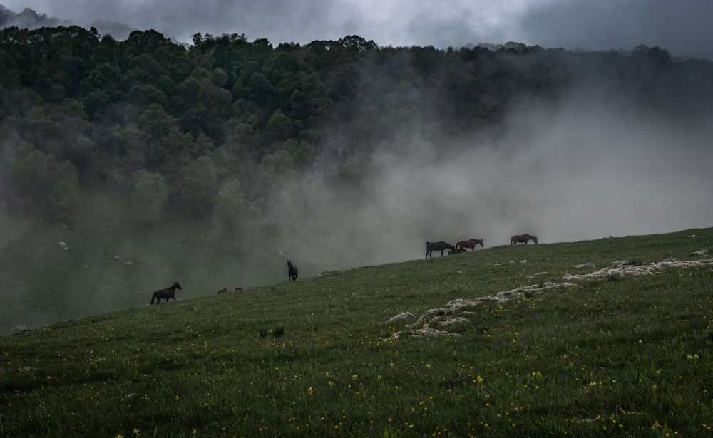 Photograph by Григорова Мария