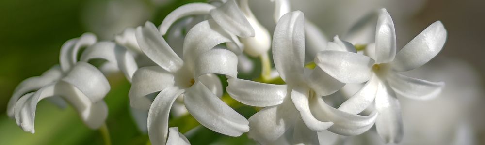 Фотография автора Владимир Пронин