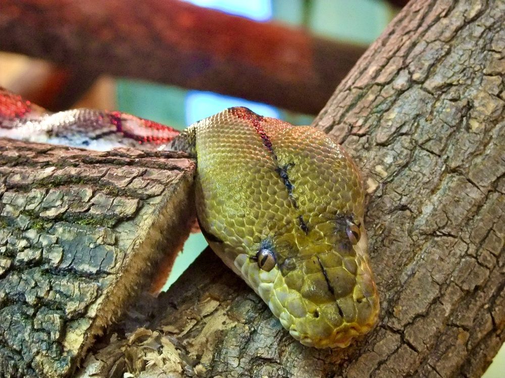 Photograph by Татьяна Шитлина