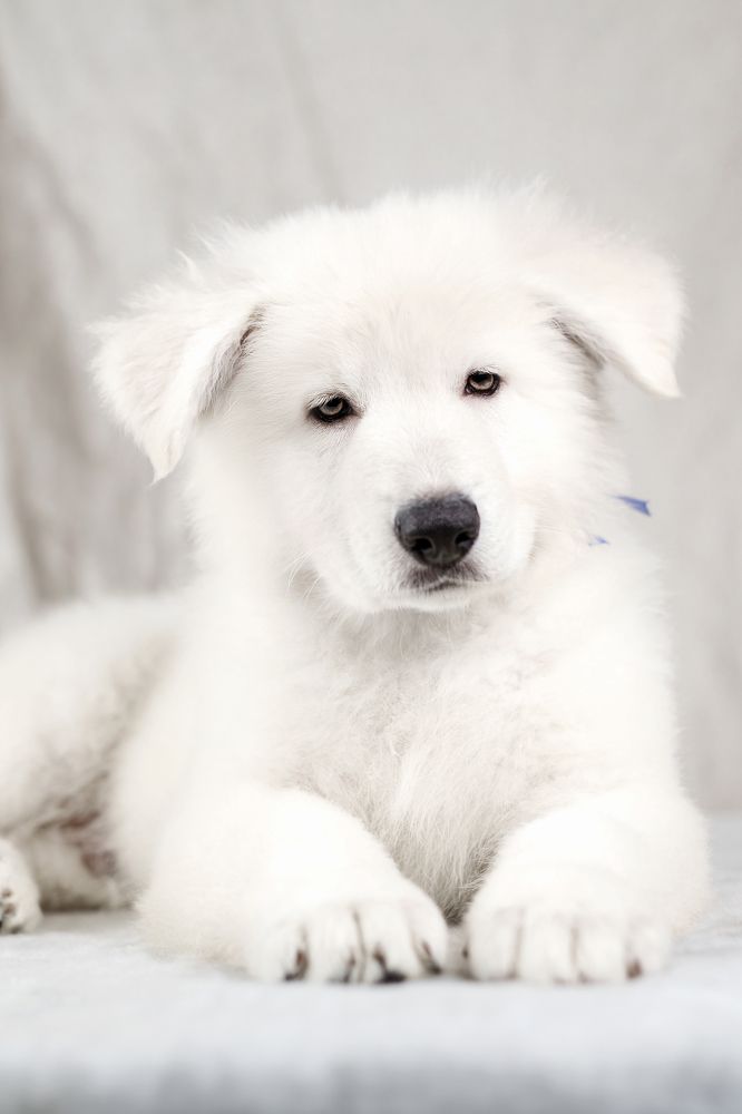 Photograph by Зубкова Юлия