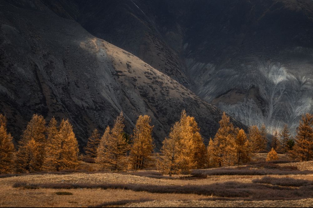 Photograph by Юлия Лаптева